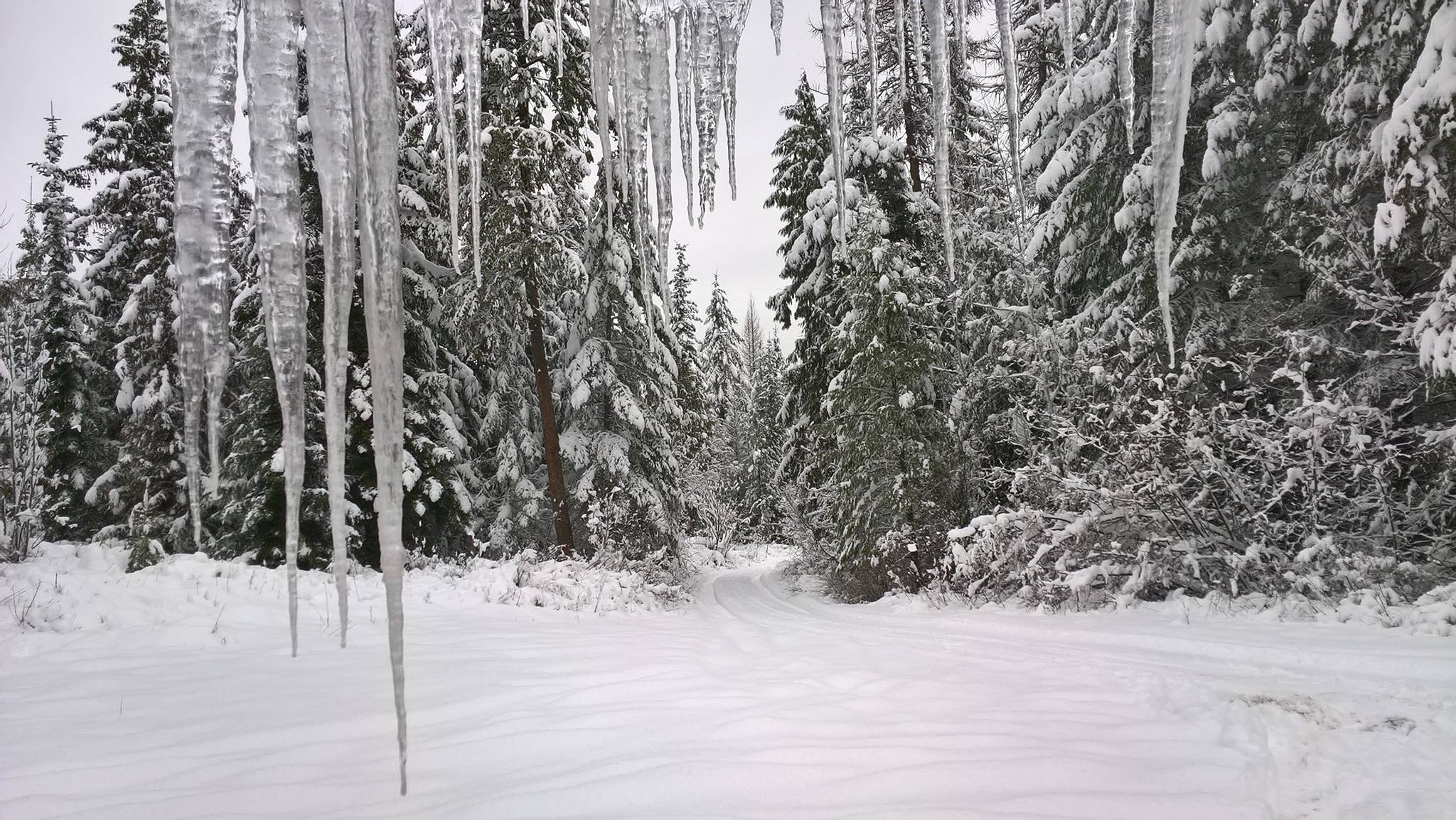 25531878_1959877554028330_6648633257718135753_o