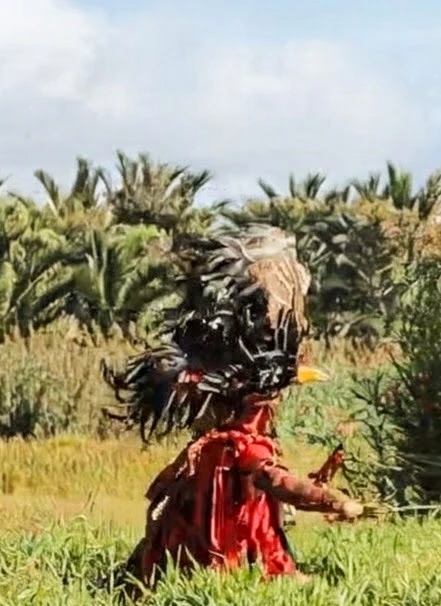 Sulawesi2026