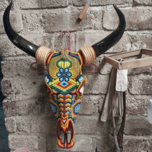 Cabeza De Toro B1