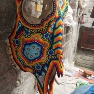 Cabeza De Toro B2
