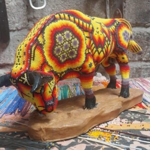 Toro Chico