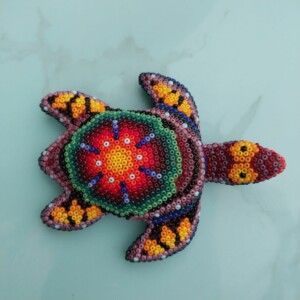 Tortuge B
