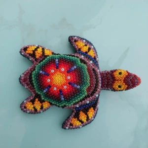 Tortuge B